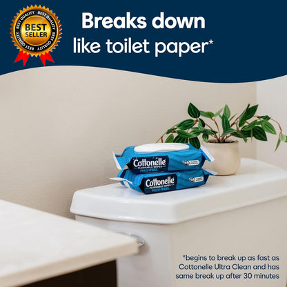 Fresh Feel Flushable Wet Wipes Adult Wet Wipes 8 Flip-Top Packs 42 Wipes Per