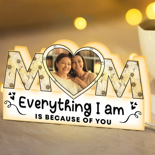Everything I Am Is Because of You Mothers Day Gift - Custom Shape Photo Light Box